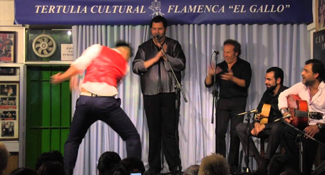 Tertulia Cultural Flamenca 