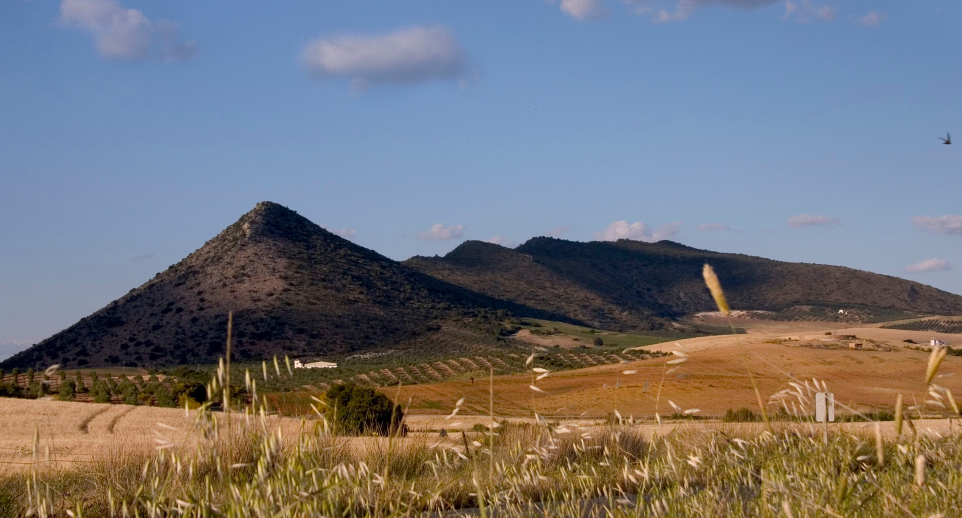 Sierra de los Esparteros