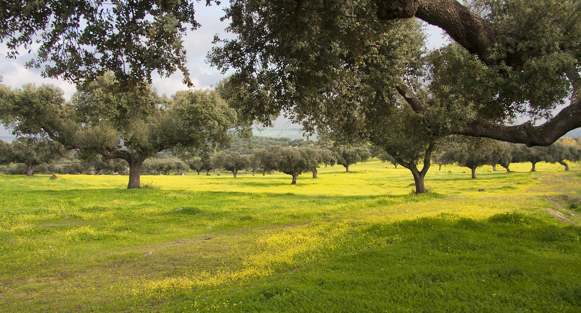 Sierra de las Encarnaciones