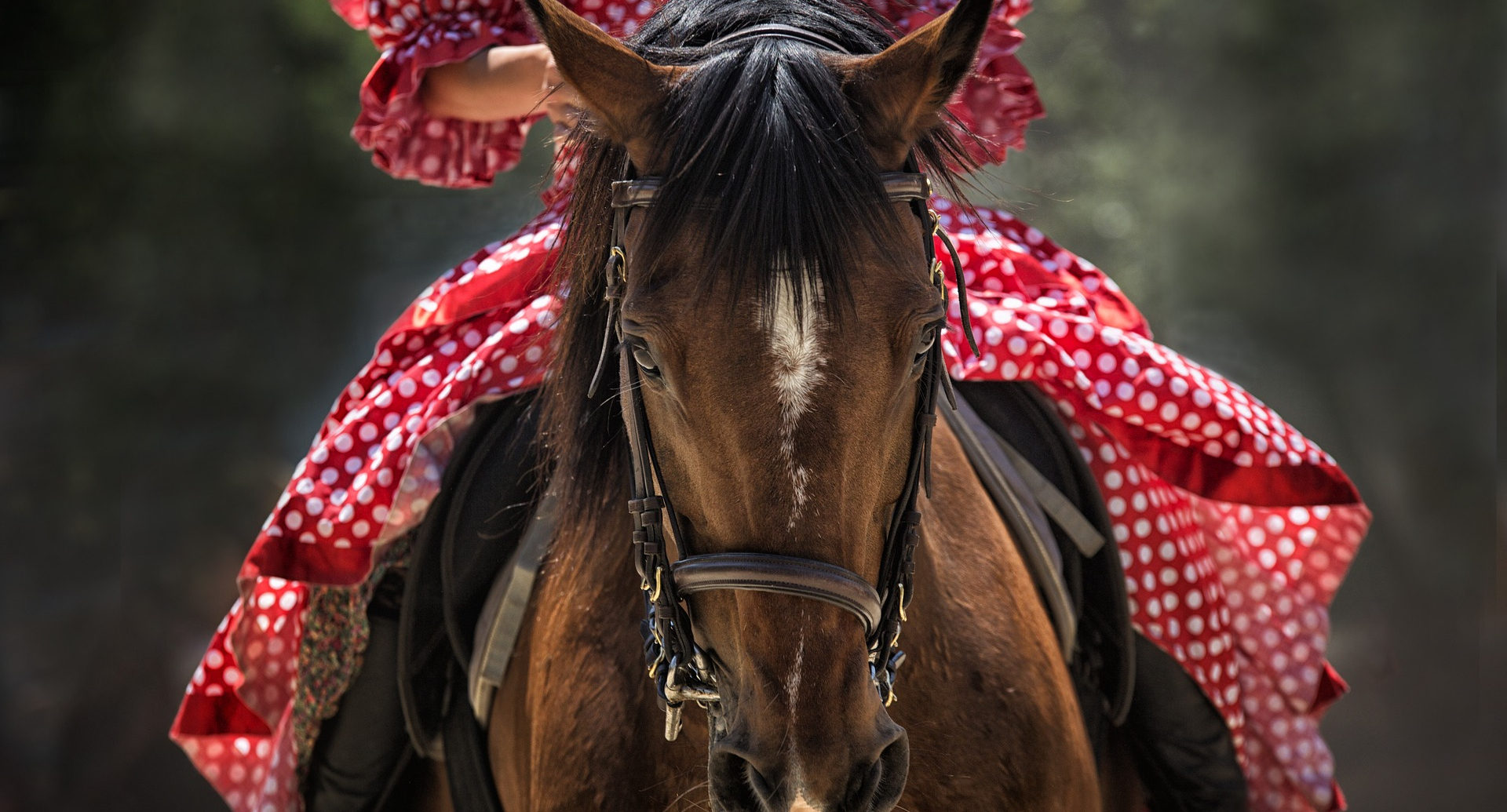 Feria de Septiembre