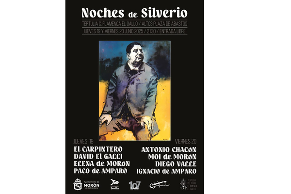 NOCHES DE SILVERIO